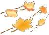 Laef