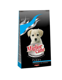 131-409993-00_puppy