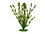ROŚLINA JUNGLE VALL.-ZIELONA DŁ.20CM (Jungle Vallisneria)