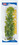 ROŚLINA MONEYWORT-ZIELONA DŁ.30CM (Moneyworth)